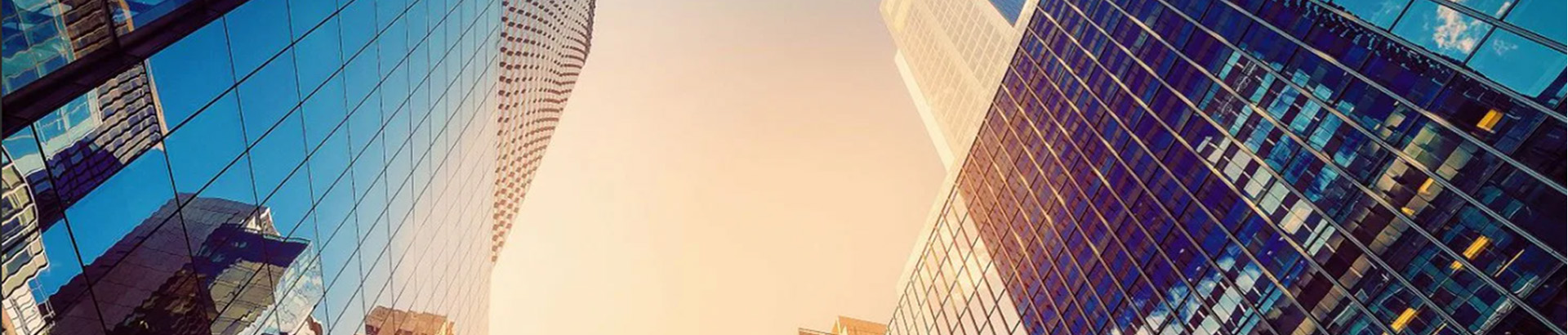 成人直播平台简介
